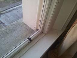 fkillineybeforeinternal 1435.jpg